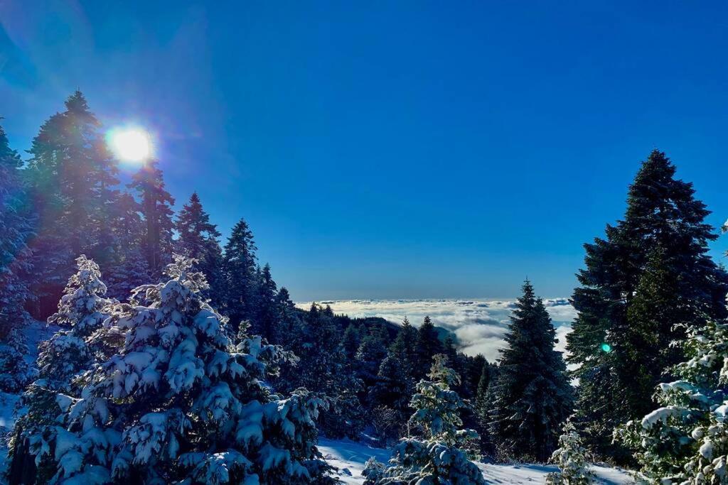 Wofford Heights Stunning Views Total Privacy Absolute Tranquilityヴィラ エクステリア 写真